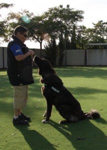 Tula, con casi 17 meses