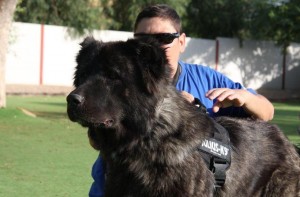 Tula, con casi 17 meses